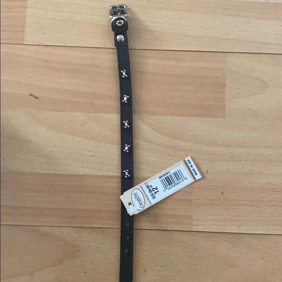 Baskerville ultra muzzle and dog collar - Picture 4 of 4